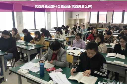 沈自所毕业发什么毕业证(沈自所怎么样)