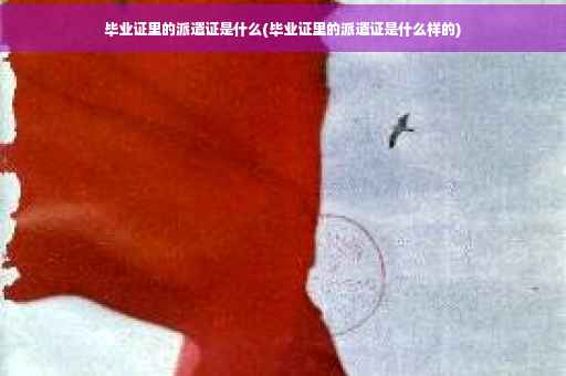 毕业证里的派遣证是什么(毕业证里的派遣证是什么样的)