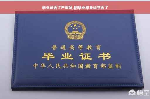 毕业证丢了严重吗,刚毕业毕业证书丢了