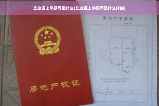 毕业证上学籍号是什么(毕业证上学籍号是什么样的)