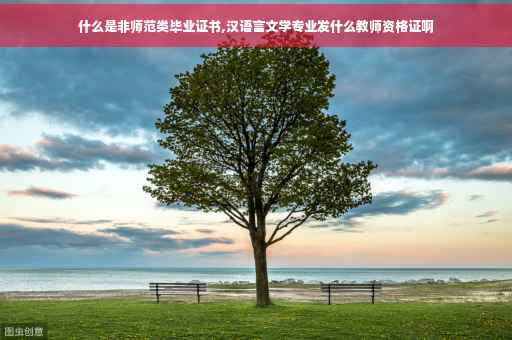 什么是非师范类毕业证书,汉语言文学专业发什么教师资格证啊