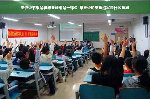 学位证书编号和毕业证编号一样么-毕业证的英语缩写是什么意思