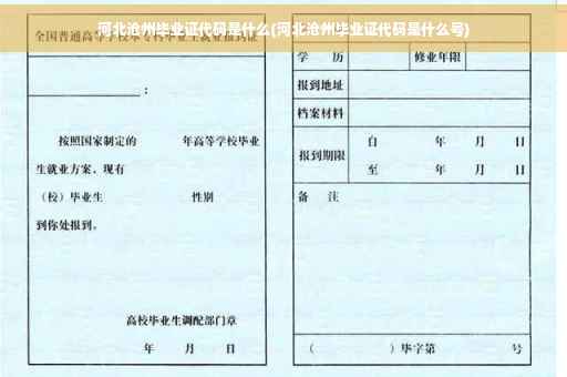 河北沧州毕业证代码是什么(河北沧州毕业证代码是什么号)