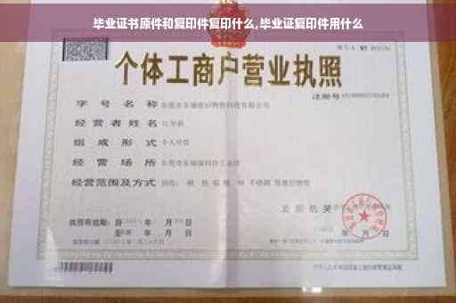 毕业证书原件和复印件复印什么,毕业证复印件用什么