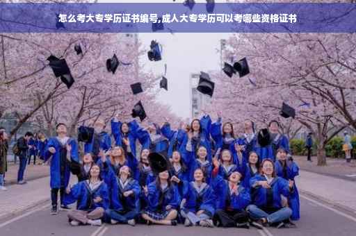 怎么考大专学历证书编号,成人大专学历可以考哪些资格证书