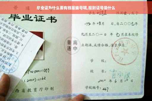 毕业证为什么要有档案编号呢,报到证号是什么