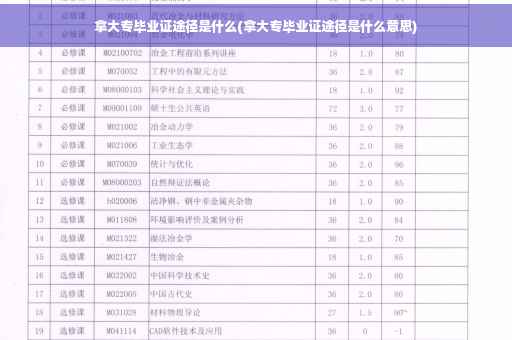 拿大专毕业证途径是什么(拿大专毕业证途径是什么意思)