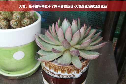 大专，是不是补考过不了就不给毕业证-大专毕业没拿到毕业证