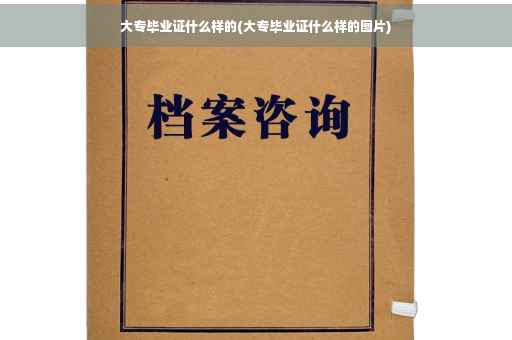 大专毕业证什么样的(大专毕业证什么样的图片)