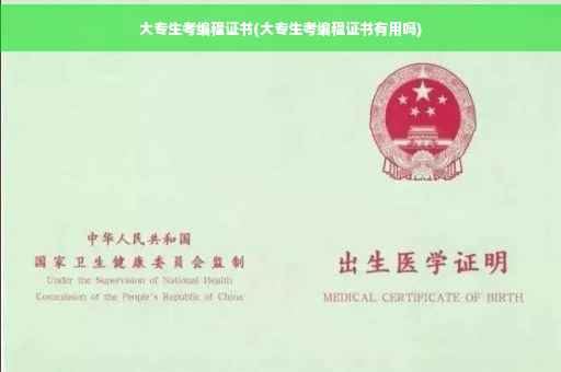 大专生考编程证书(大专生考编程证书有用吗)