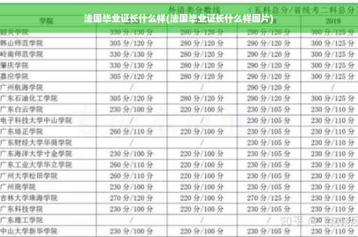 法国毕业证长什么样(法国毕业证长什么样图片)
