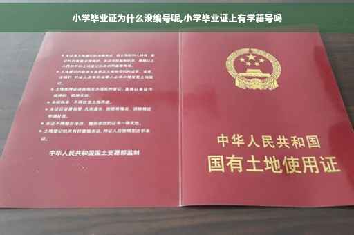 小学毕业证为什么没编号呢,小学毕业证上有学籍号吗
