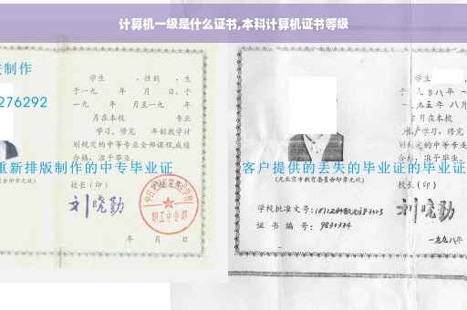 计算机一级是什么证书,本科计算机证书等级