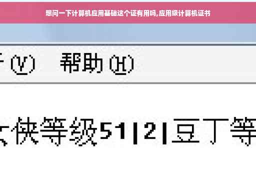 想问一下计算机应用基础这个证有用吗,应用级计算机证书