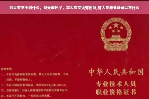 念大专学不到什么，整天混日子，拿大专文凭有用吗,有大专毕业证可以学什么