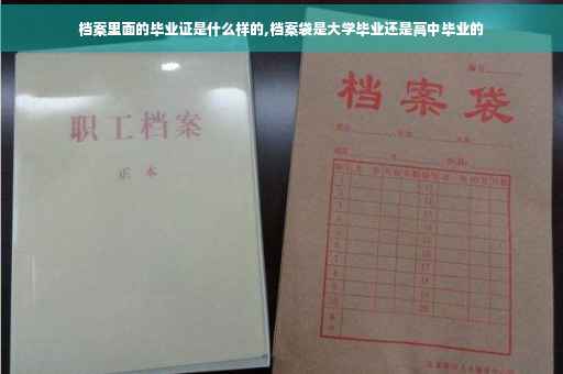 档案里面的毕业证是什么样的,档案袋是大学毕业还是高中毕业的