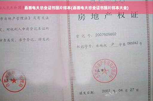 嘉善电大毕业证书图片样本(嘉善电大毕业证书图片样本大全)