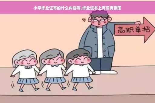 小学毕业证写的什么内容啊,毕业证书上有没有钢印