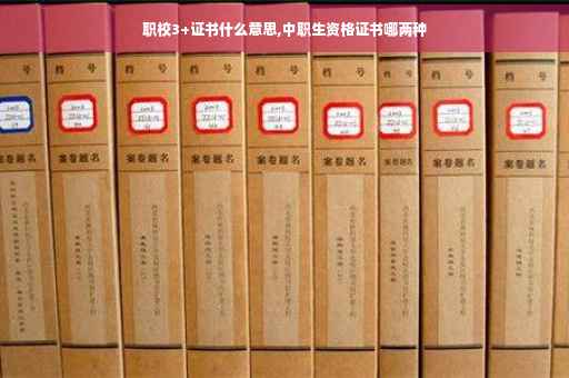 职校3+证书什么意思,中职生资格证书哪两种