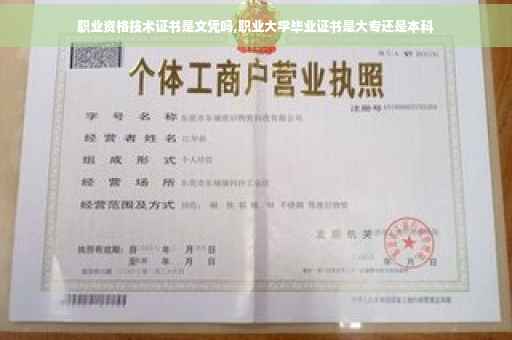 职业资格技术证书是文凭吗,职业大学毕业证书是大专还是本科