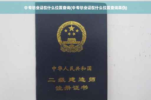 中专毕业证在什么位置查询(中专毕业证在什么位置查询真伪)