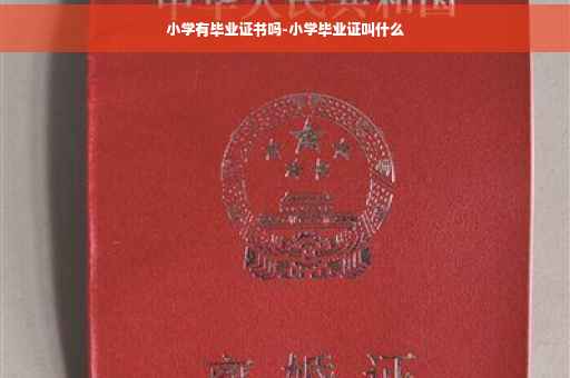 小学有毕业证书吗-小学毕业证叫什么