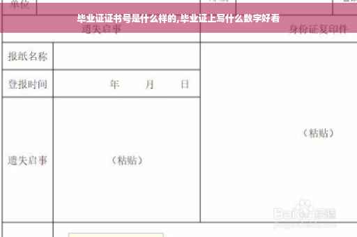 毕业证证书号是什么样的,毕业证上写什么数字好看