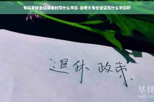 专科拿结业证填表时写什么学历-自考大专毕业证写什么学历好