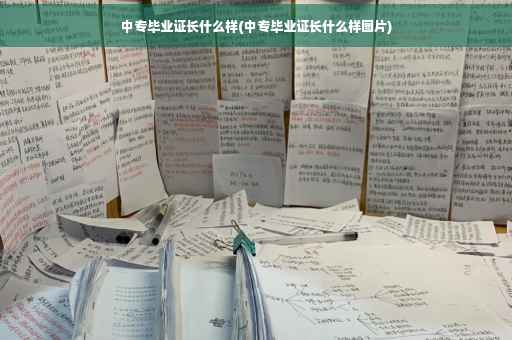 中专毕业证长什么样(中专毕业证长什么样图片)