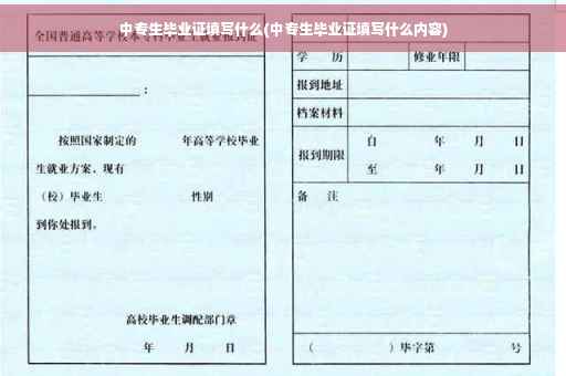 中专生毕业证填写什么(中专生毕业证填写什么内容)
