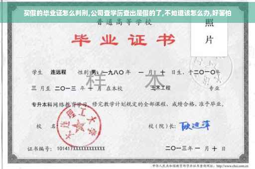 买假的毕业证怎么判刑,公司查学历查出是假的了,不知道该怎么办,好害怕