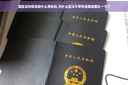 蓝底证件照是派什么用处的,为什么武汉小学毕业照改黑白一寸了