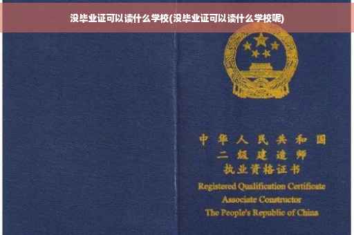 没毕业证可以读什么学校(没毕业证可以读什么学校呢)