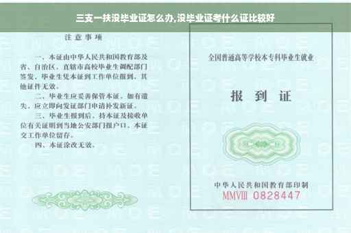 三支一扶没毕业证怎么办,没毕业证考什么证比较好