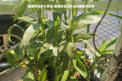 函授本科多久拿证-函授毕业证什么时候能拿到手