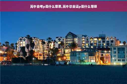 高中会考p是什么意思,高中毕业证p是什么等级