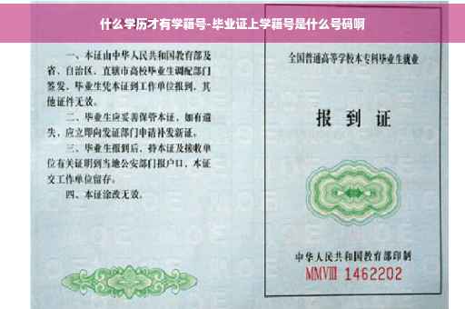 什么学历才有学籍号-毕业证上学籍号是什么号码啊