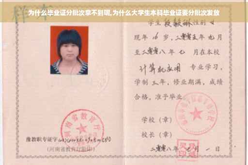 为什么毕业证分批次拿不到呢,为什么大学生本科毕业证要分批次发放