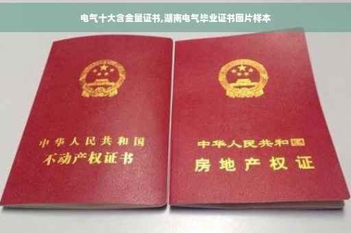 电气十大含金量证书,湖南电气毕业证书图片样本