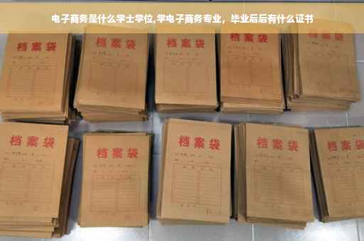 电子商务是什么学士学位,学电子商务专业，毕业后后有什么证书