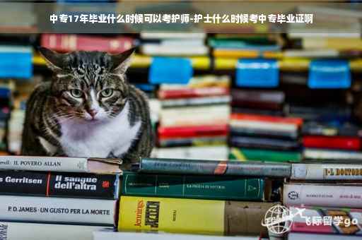 中专17年毕业什么时候可以考护师-护士什么时候考中专毕业证啊