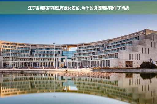 辽宁省朝阳市哪里有卖化石的,为什么说周雨彤陪伴了肖战