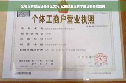 军校没有毕业证是什么文凭,军校毕业没有学位证的补救措施