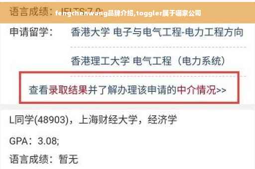 fengchenwang品牌介绍,toggler属于哪家公司