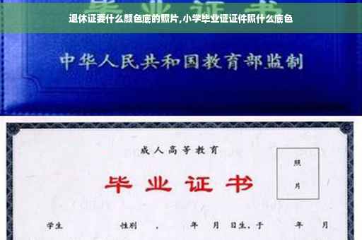 退休证要什么颜色底的照片,小学毕业证证件照什么底色