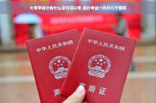 大专学会计有什么证书可以考,会计考试一共分几个等级