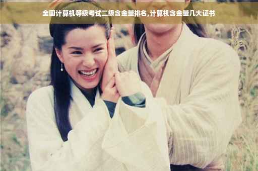 全国计算机等级考试二级含金量排名,计算机含金量几大证书 全国计算机等级考试二级含金量排名,计算机含金量几大证书