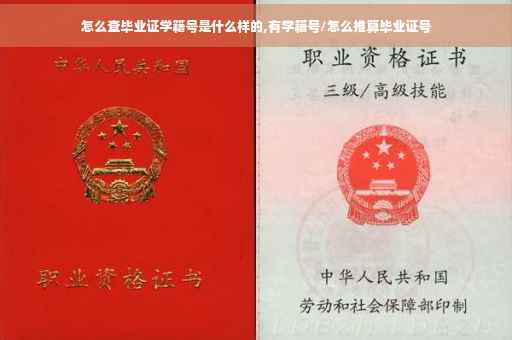 怎么查毕业证学籍号是什么样的,有学籍号/怎么推算毕业证号