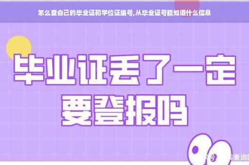 怎么查自己的毕业证和学位证编号,从毕业证号能知道什么信息