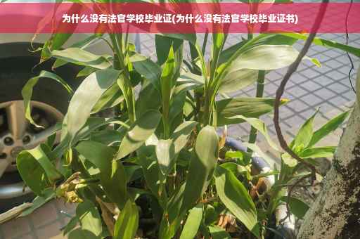 为什么没有法官学校毕业证(为什么没有法官学校毕业证书)